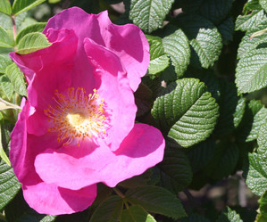 Similar image 667498