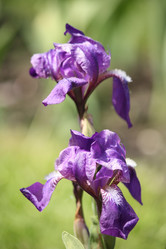 Similar image 667507