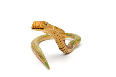 Similar image 667566