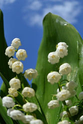 Similar image 667567