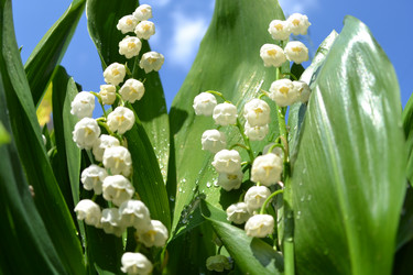 Similar image 667569