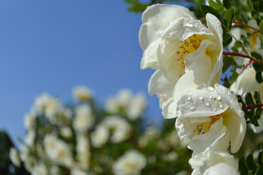 Similar image 667570