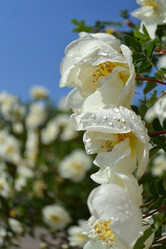 Similar image 667572