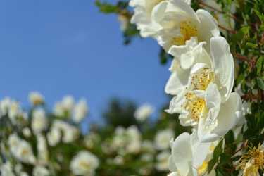 Similar image 667573