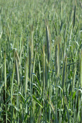 Similar image 667578