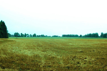 Similar image 667591