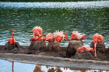 Similar image 667594