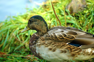 Similar image 667599