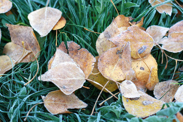 Similar image 667612