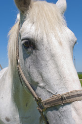 Similar image 667640