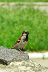 Similar image 667696