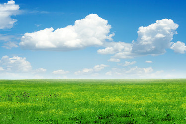 Similar image 667714