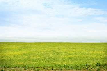 Similar image 667715