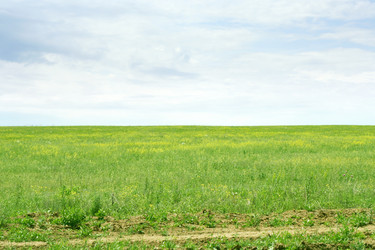 Similar image 667716