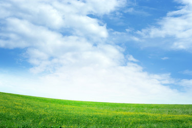 Similar image 667717