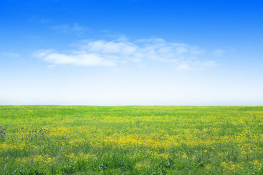 Similar image 667718