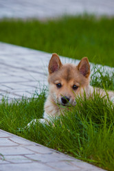 Similar image 667724