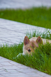 Similar image 667725