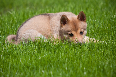 Similar image 667727