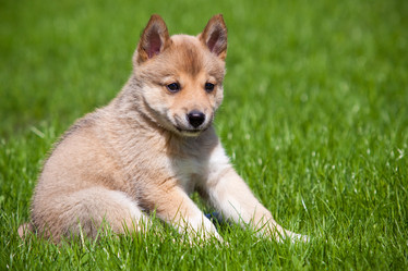 Similar image 667728