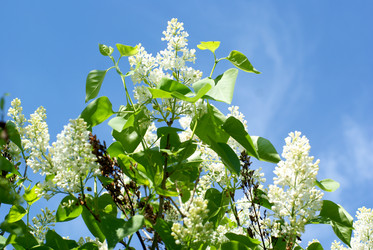 Similar image 667750