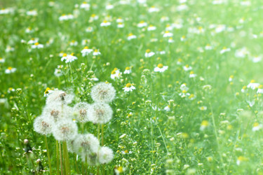 Similar image 667759