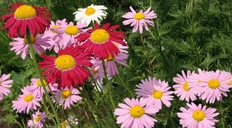 Similar image 667771