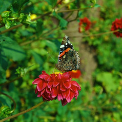 Similar image 667773