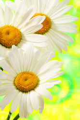 Similar image 667776