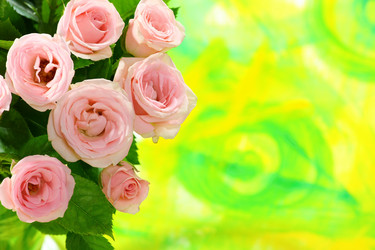 Similar image 667779