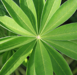 Similar image 667780