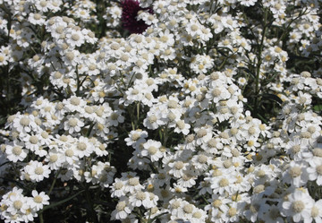 Similar image 667781