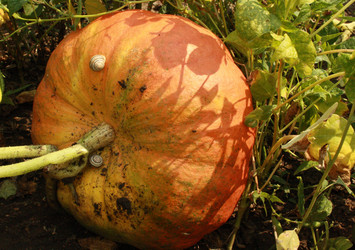 Similar image 667784