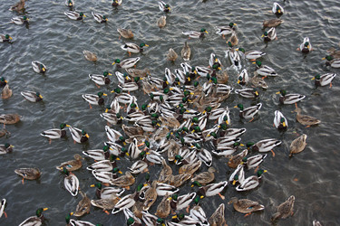 Similar image 667785