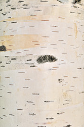 Similar image 667858