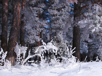 Similar image 667922