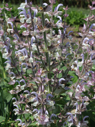 Similar image 667924