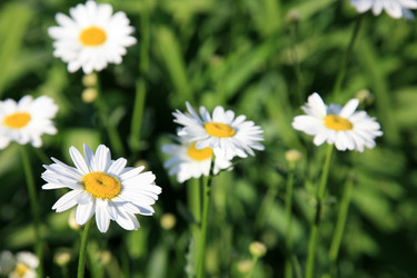 Similar image 667982