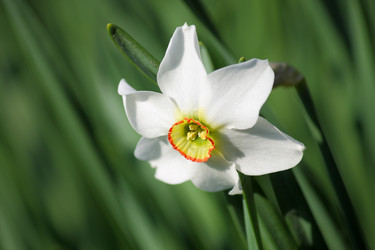 Similar image 668079