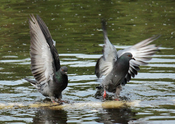 Similar image 668095