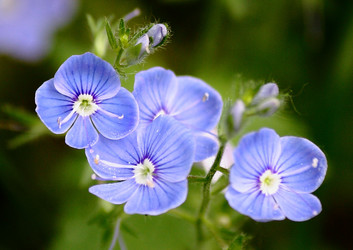 Similar image 668098