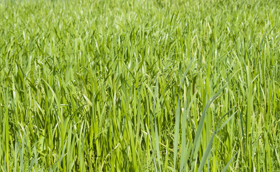 Similar image 668100