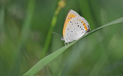 Similar image 668103