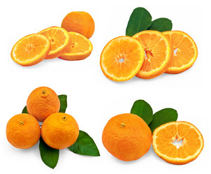 Similar image 668106