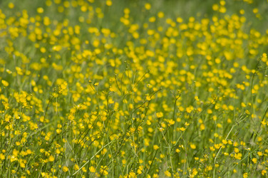 Similar image 668122