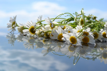 Similar image 668125