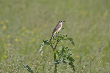 Similar image 668127