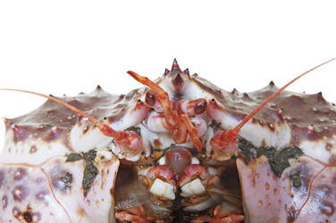 Similar image 668128