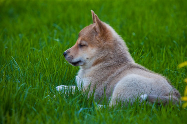 Similar image 668151