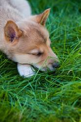 Similar image 668155